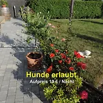 - An Den Elbwiesen 公寓 *