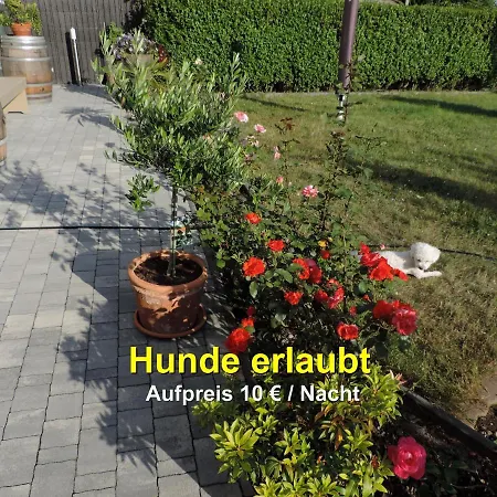 - An Den Elbwiesen Apartment *